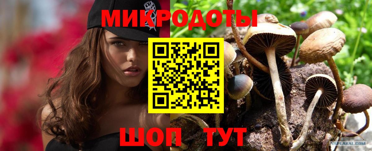 Сертолово  Галлюциногенные грибы MAGIC MUSHROOMS  Псилоцибиновые грибы Magic Shrooms  Вход с VPN 